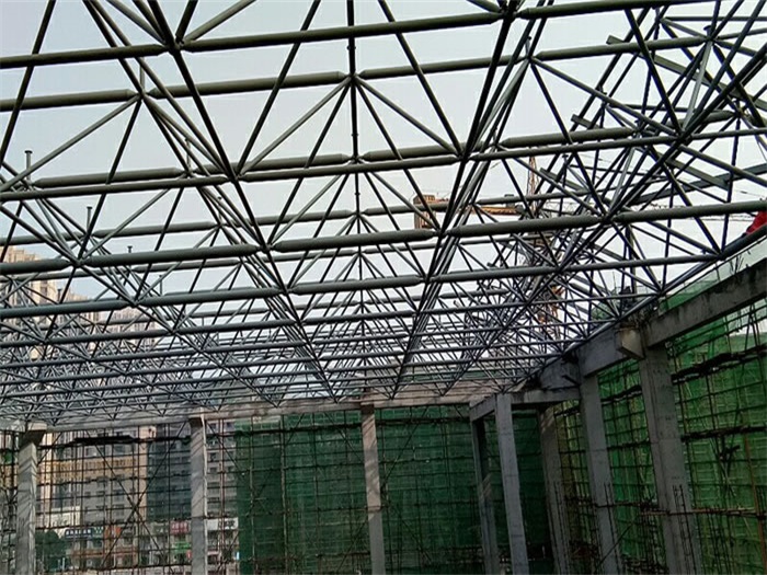 新乡光谷第十一小学网架